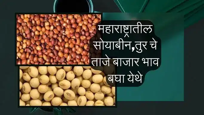 today soyabean tur rate
