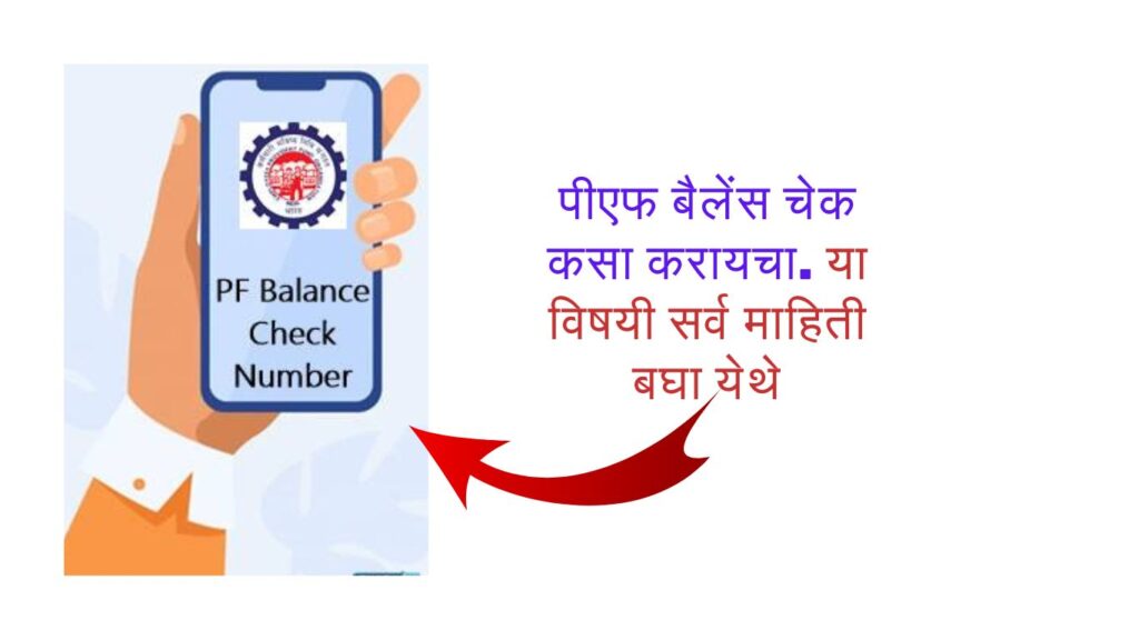 pf-balance-check